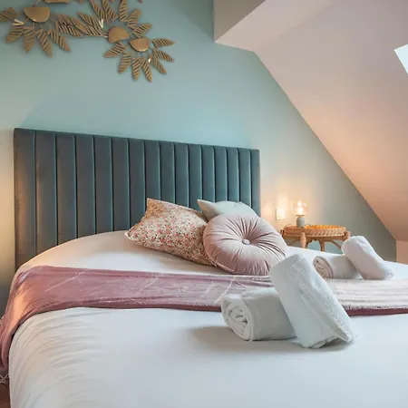 Le Robin Des Toits - Moderne * Schiltigheim