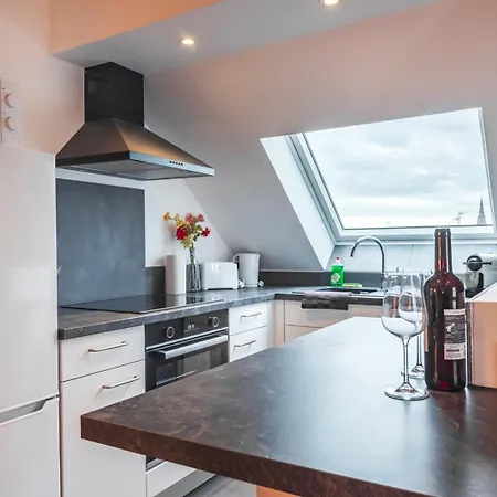 Apartment Le Robin Des Toits - Moderne Schiltigheim