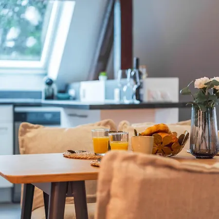 Apartment Le Robin Des Toits - Moderne Schiltigheim